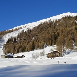 Biathlon - Tutti i risultati delle gare ad Inseguimento dei Campionati Italiani ad Aria Compressa di Brusson.