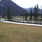 Biathlon - Coppa di Francia, manca la neve ma si corre lo stesso... sugli skiroll